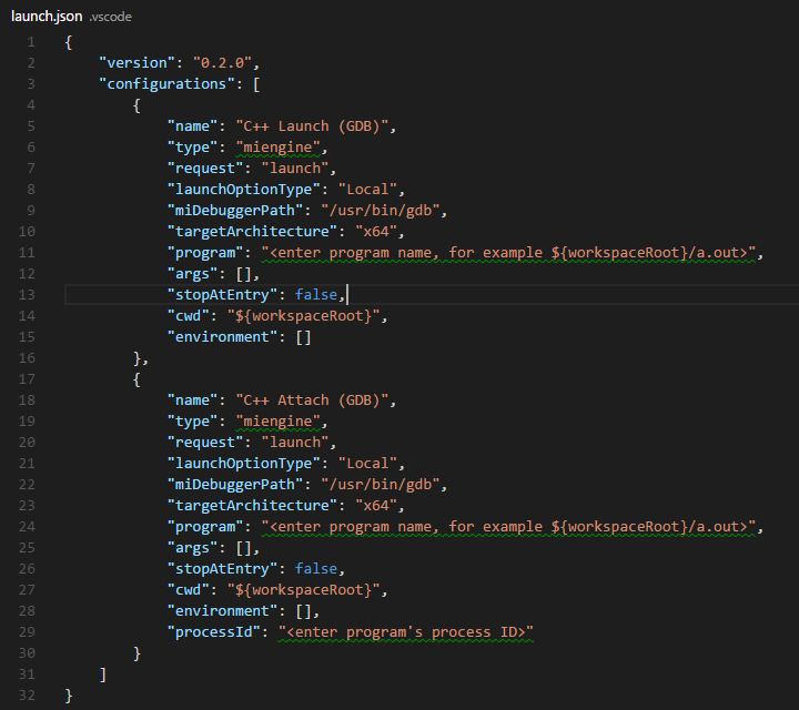 launch.json
